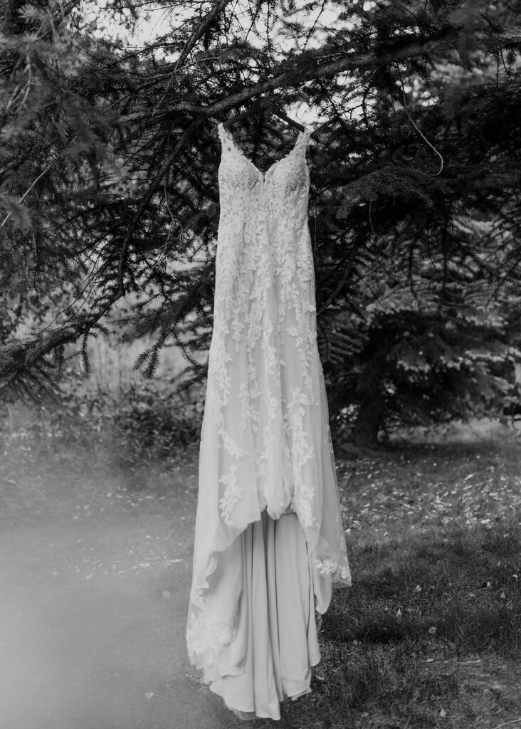 Wedding dress hanging from an evergreen tree in Vail, Colorado.